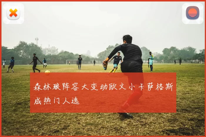 森林狼阵容大变动欧文小卡萨格斯成热门人选